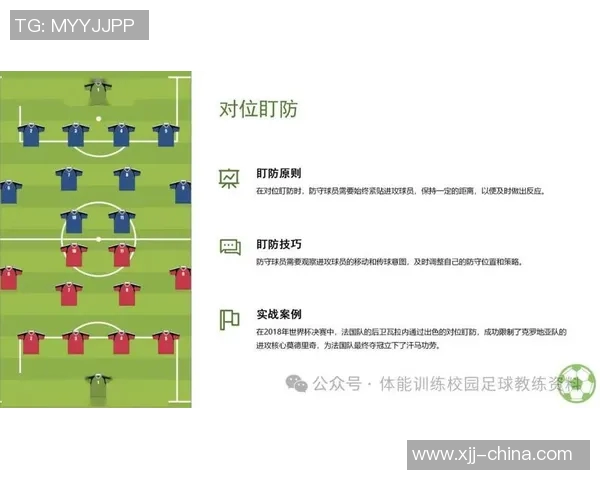 深入分析成都排球队的反击战术及其在比赛中的应用效果
