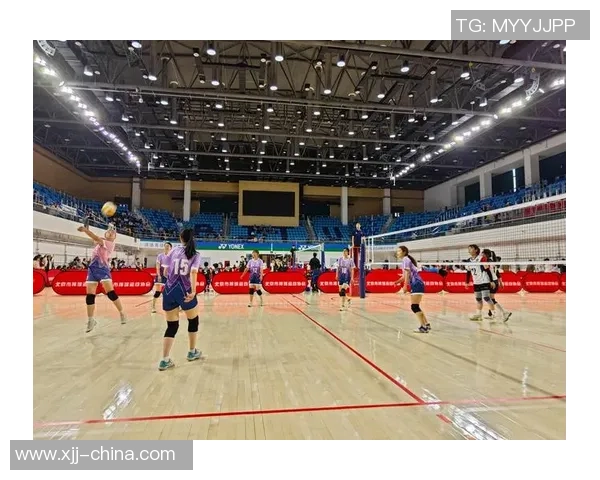 排球战术排行榜揭晓北京排球队荣获第三名展现强劲实力