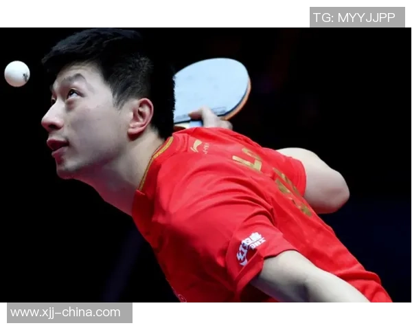 武汉乒乓球队在联赛中的技术表现分析与未来发展展望