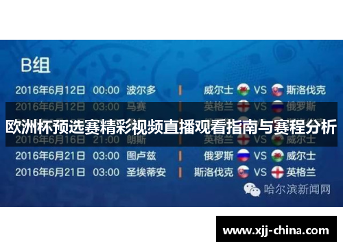欧洲杯预选赛精彩视频直播观看指南与赛程分析