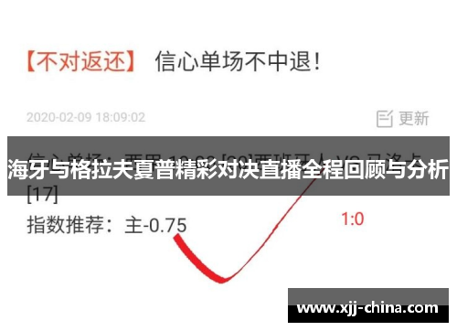 海牙与格拉夫夏普精彩对决直播全程回顾与分析